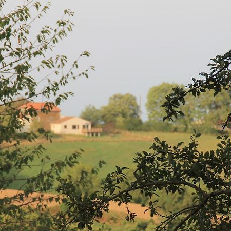Pour Les Amoureux De La Nature. Saint-Cirgue Εξωτερικό φωτογραφία